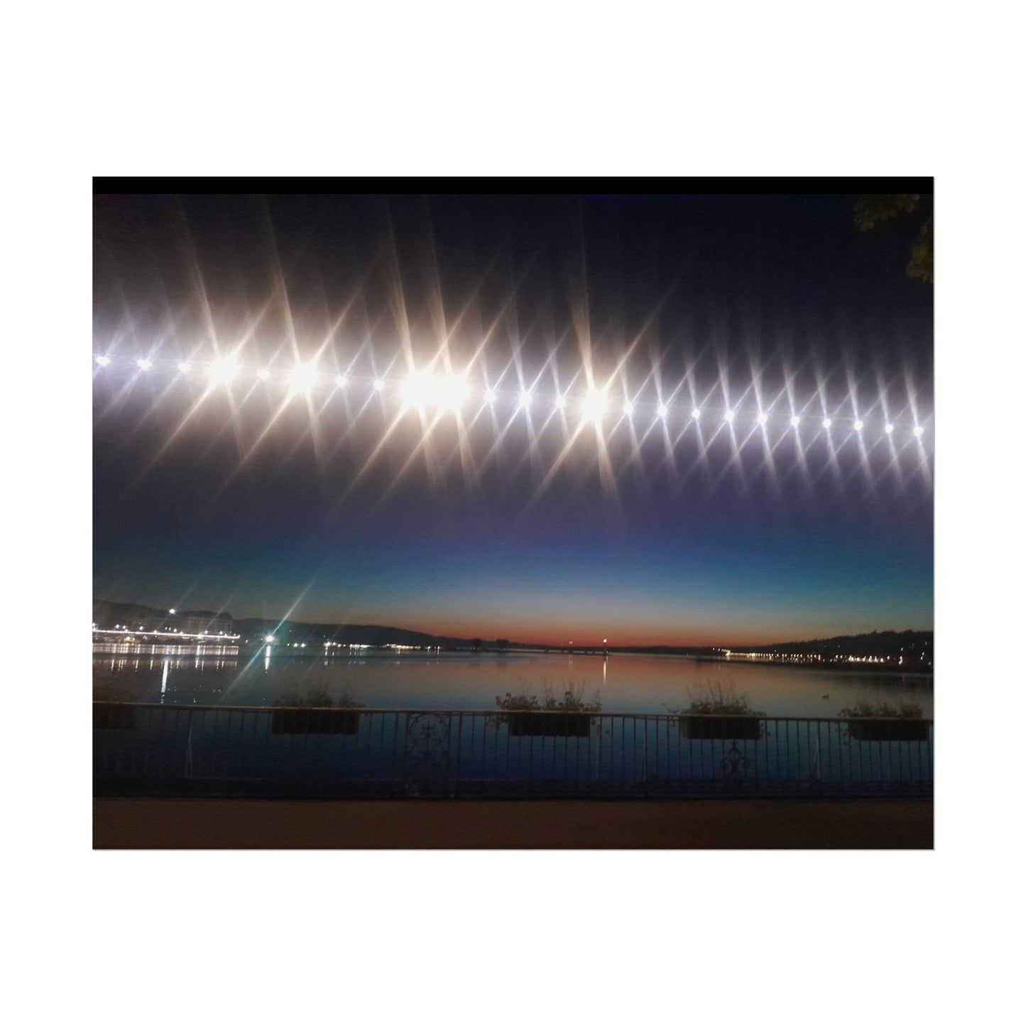 Night Harbor Rolled Poster — Sparkling Light Reflections Over Waterfront